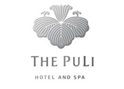 Puli logo